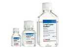 LowCross-Buffer - Antibody and Sample Diluent