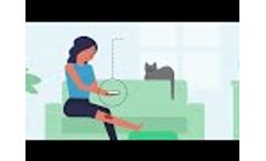 How Silhouette Home User Works - Video