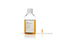 Fetal Bovine Serum (FBS)