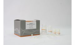 CatchGene - Cell/Blood DNA Kit