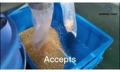 Chili seeds sorting case - Video