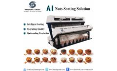 Henning Saint - Model HS-G5 - nuts color sorter