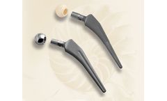 BA Hip Stem System