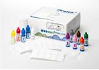 Prolex™ Strep Xtra Select Kit (120T)