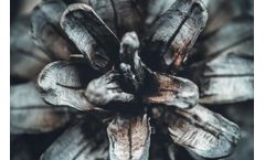 Emergent - Farming Biochar