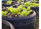 Emergent - Biochar Grow Medium Blends