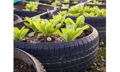 Emergent - Biochar Grow Medium Blends