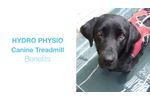 Canine HYDRO PHYSIO Treadmills - underwater treadmills for dogs - Video