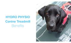 Canine HYDRO PHYSIO Treadmills - underwater treadmills for dogs - Video
