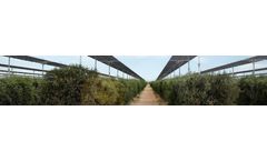 AgriPV - PV System