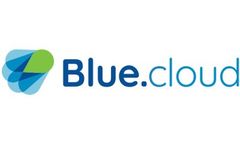 IT Strategy Services