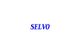 Shanghai Selvo Industrial Co., Ltd.