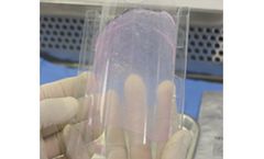 CenoMembrane - Freeze Dried