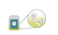 NANOPLEX - Rapid Bacterial Detection Technology