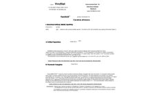 Virostat - Model Candida Albicans(MabyRab) - Rabbit Monoclonal Antibodies - Brochure