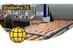 Egg Grading and Packing Machine - GraderPro 75 - SANOVO TECHNOLOGY GROUP. - Video