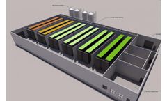 Introducing HydroGreen Automated Vertical Pastures™