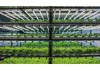 Indoor Vertical Farms