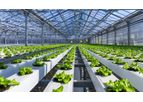 Hydroponic Greenhouses