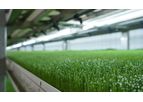 Fodder Farms