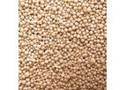 Actisaf - Model Sc 50 PET - Probiotic for Premium Dry Food