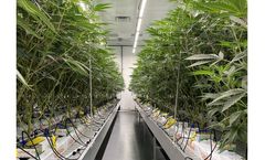 Get Growing Services