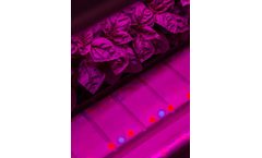 Vertically Urban - Custom Spectrum LED Grow Lights and Advanced Technology