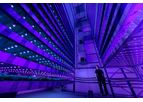 IGS - Growth Towers for Indoor Farming