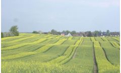 Seed Production Services