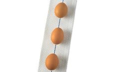 FeatherGlide - Model 63037-0850 - Egg Belt - 3 3/4 Inch X 850`