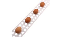 AMT - Model 61041-1020-Reinforced - Perforated Polypropylene Egg Belt - 4 Inch X 1020`