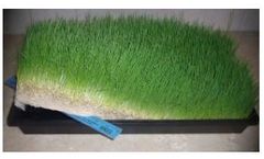 Fodder Feeding System - Fresh Fodder For Horses