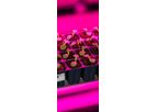 CubicFarm - Propagator Modules