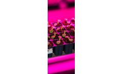 CubicFarm - Propagator Modules