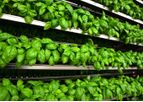 CubicFarm - Cultivator Modules