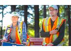 Borehole IP Services
