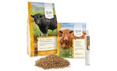 Santa Cruz Animal Health - UltraCruz® Livestock Calming Supplement for Cattle, Goats, Sheep and Pigs