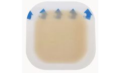 Longterm - Hydrocolloid Dressing Bordered