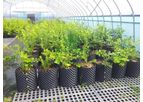 Hydroponic Growing Air Pruning Root Plant Pots