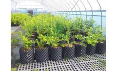 Hydroponic Growing Air Pruning Root Plant Pots