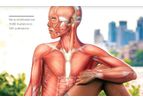 Illustration and Animation Services