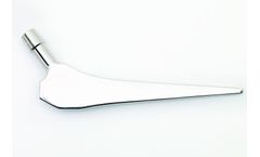 Endoprosthetics