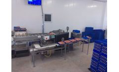 Metzler Machines - Model 70 CPH Farmpacker - Egg Packaging