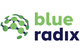 Blue Radix B.V.