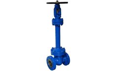 STV - Model ANSI 300lb - Bellow Seal Gate Valve