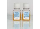 Access - Human Male AB Serum
