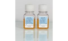 Access - Human Male AB Serum