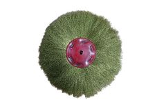 Standco - Model PDBAB_363195673 - Vertex Brush