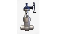 Pharmach - Model 600LB~2500LB Series - Bonnet Gate Valve