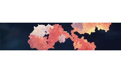 Monoclonal Antibodies